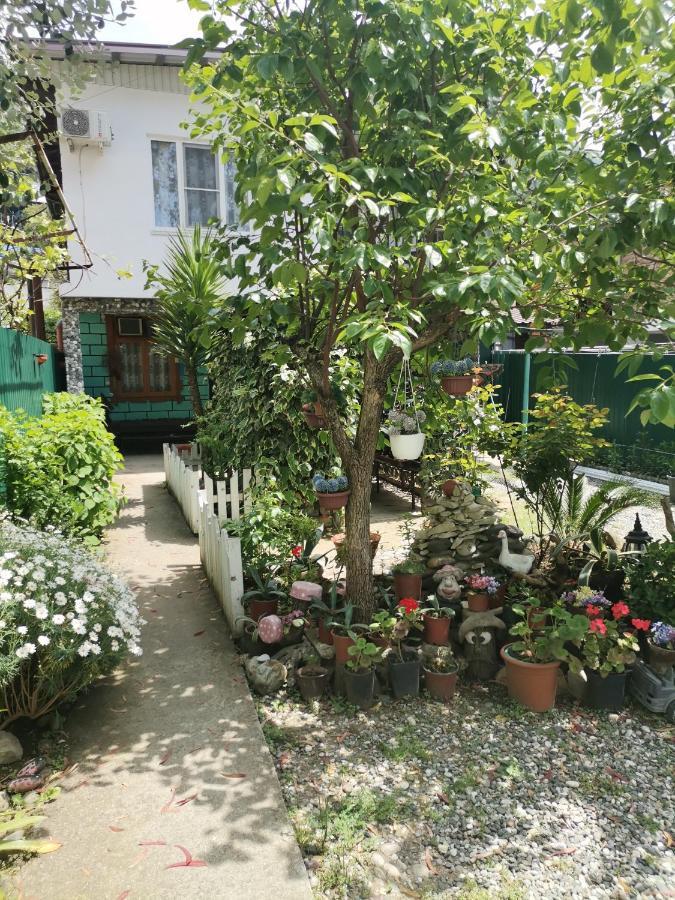 Гостевой Дом В Гаграх"Море Солнца" Gagra Esterno foto